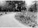 Parc de la Ville 1963 01