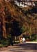 Parc de la Ville 1996 08