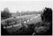 Roseraie 1936 02