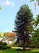 parc_de_la_ville2003 (33)