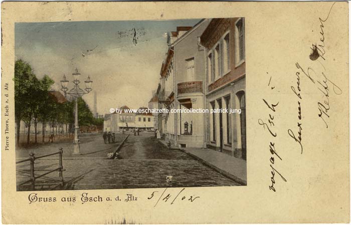 alzetterue1902001 cp x
