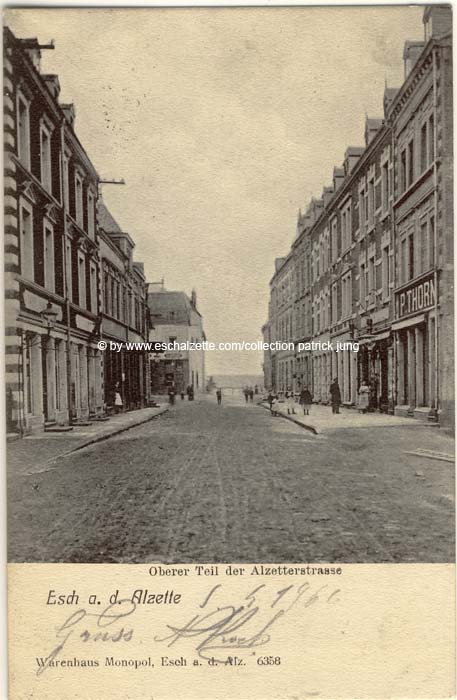 alzetterue1906001 cp x