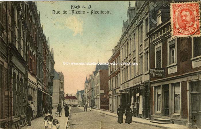 alzetterue1910001 cp x