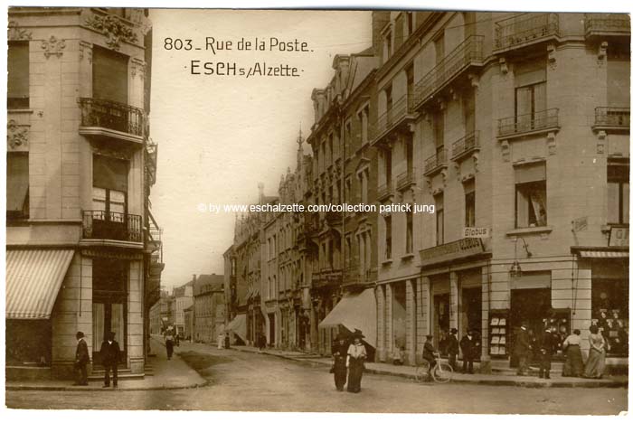 alzetterue1910002 cp x