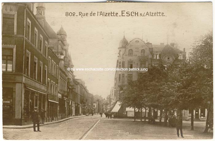 alzetterue1919002 cp x