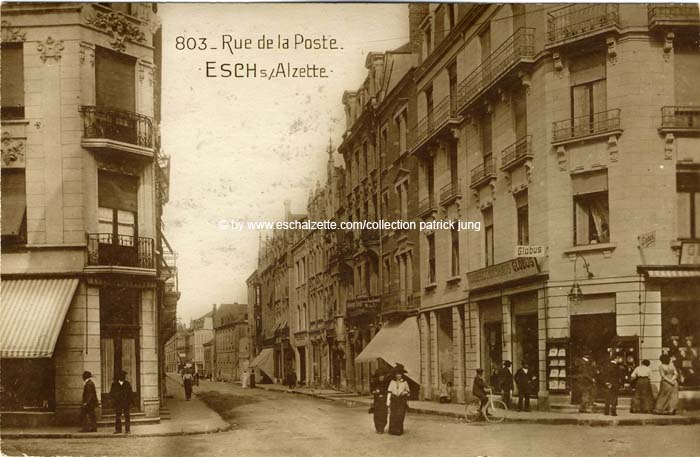 alzetterue1923003 cp x