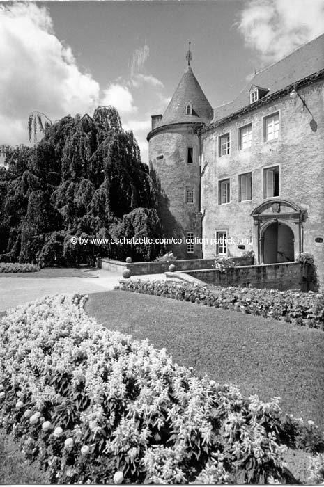 chateausanem1960002 cp