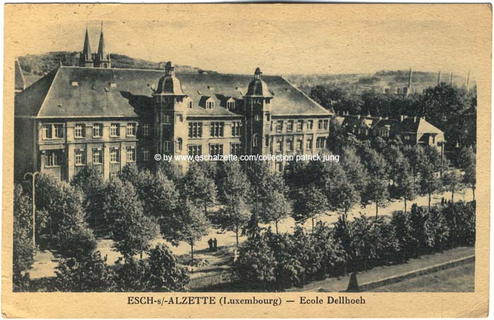 dellheicht1947001 cp x