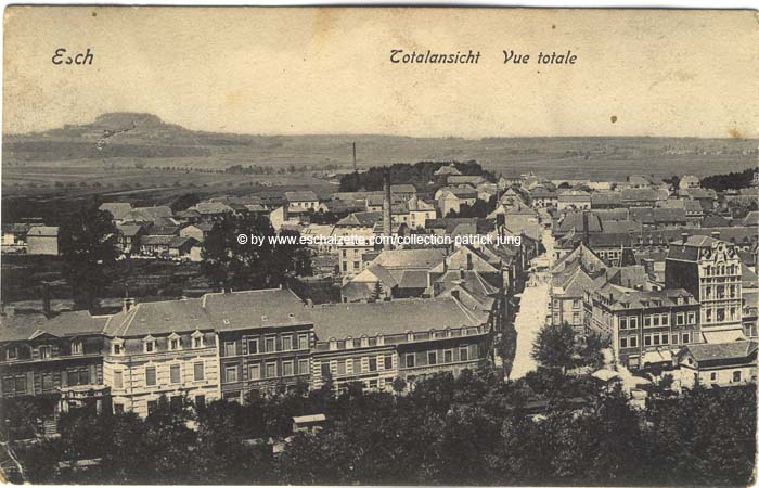 panorama1895001 cp x