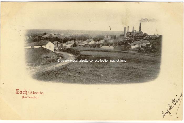 panorama1903002 cp x