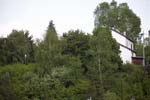 kleesgruendchen200705017