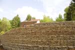 kleesgruendchen200705020