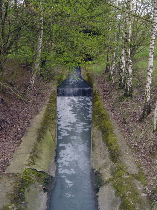 nonnewisen200504004