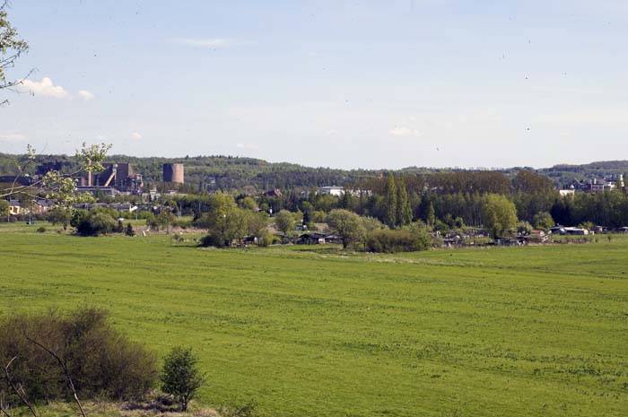 nonnewisen200504007