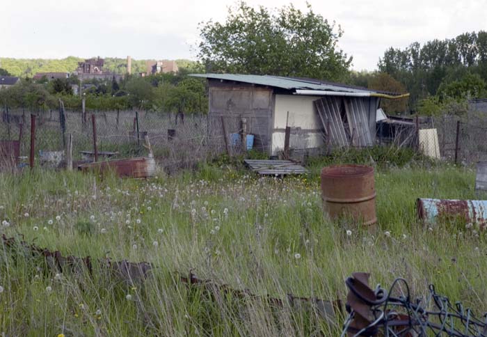 nonnewisen200505005