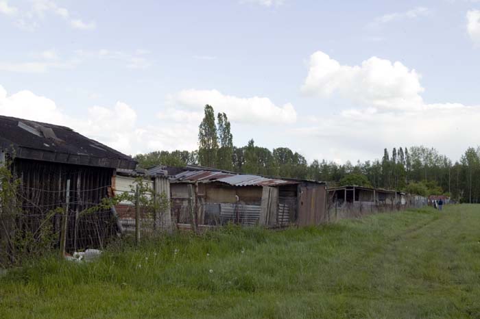 nonnewisen200505006