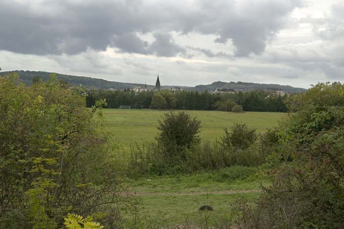 nonnewisen200509001