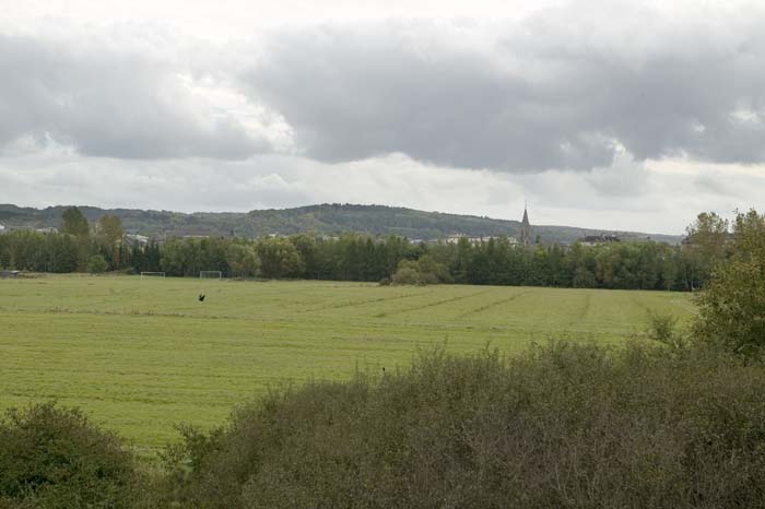 nonnewisen200509002