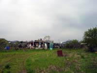 nonnewisen200504002