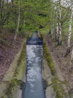 nonnewisen200504004