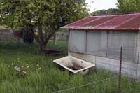 nonnewisen200505003