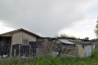 nonnewisen200505004