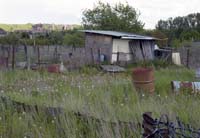 nonnewisen200505005