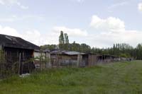 nonnewisen200505006