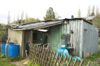 nonnewisen200510001