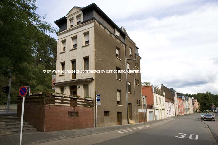 20080814burgronn002