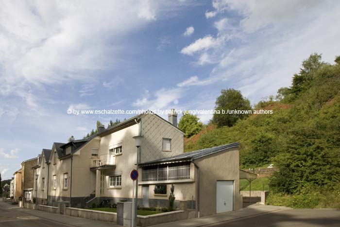 20080814burgronn010