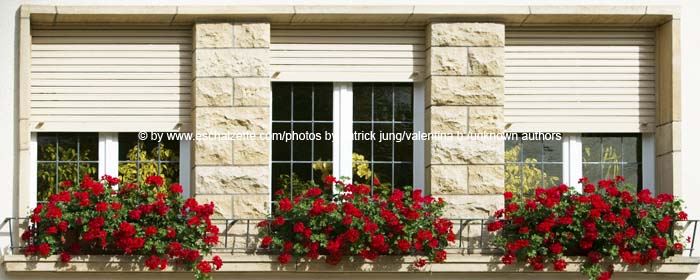 20080814burgronn013