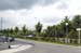 diederich200506001