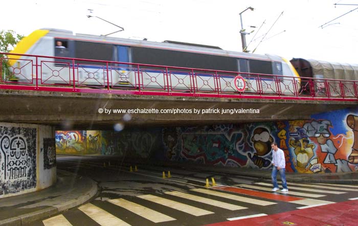 20080808dieswee001