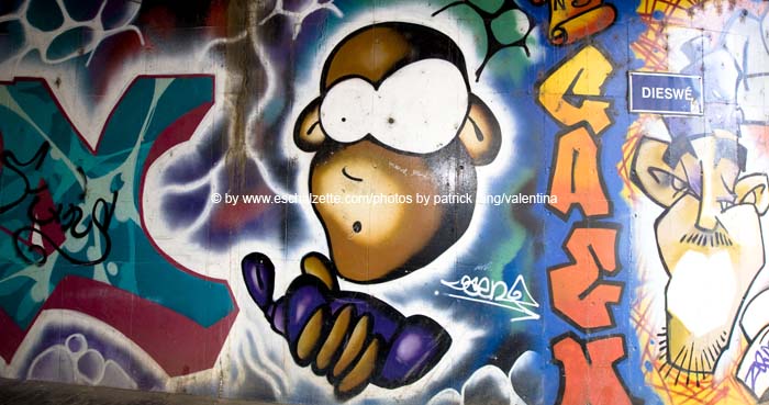 20080808dieswee002