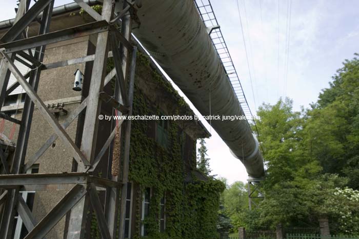 dieswe200506001