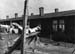 Esperance cite 1955 003 Baraques Sotel