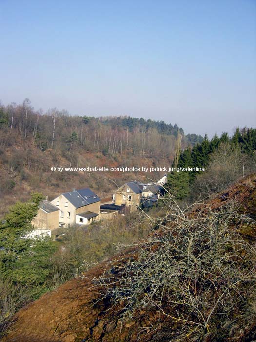 Bourgrond 2004 03 001
