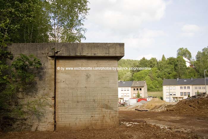kleesgruendchen200705016