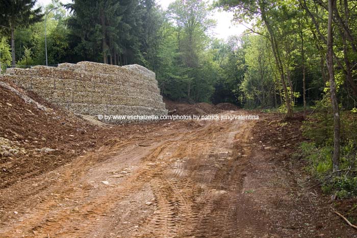 kleesgruendchen200705019