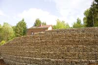 kleesgruendchen200705020