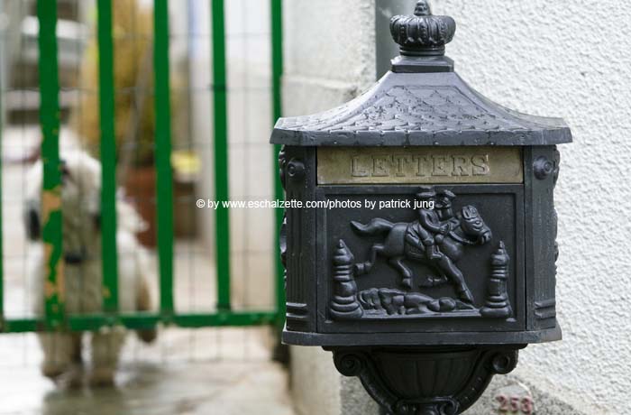 20080808kochandre007
