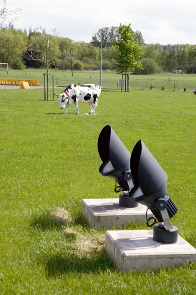 kochhenri200505004