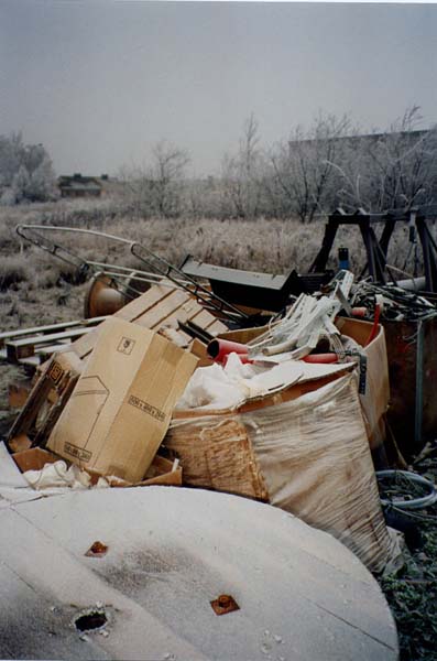 lankelzrue199901001