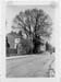 Luxembourg rue de 1959 003 ormes devant ancienne maison Brasseur