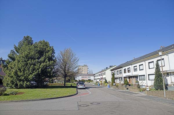 mannesnic200504003