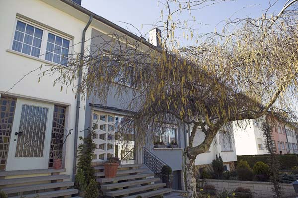 mannesnic200504004