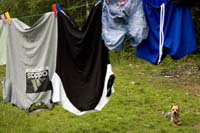 neudorf200706cfl 010