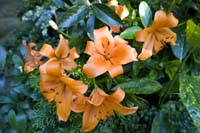 neudorfrue20080804016