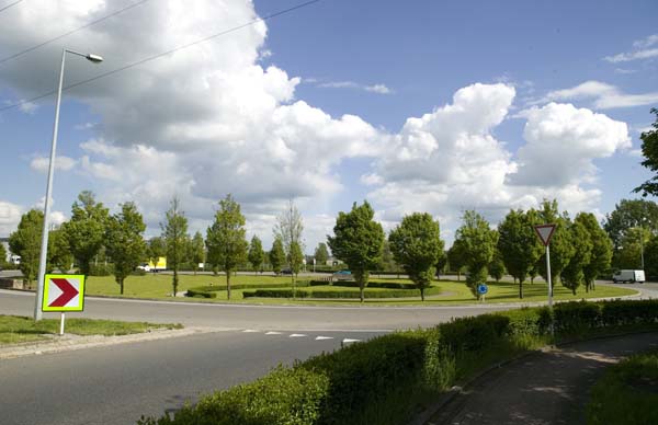 raemerichrp200505004